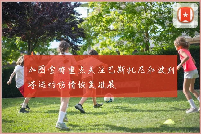 加图索将重点关注巴斯托尼和波利塔诺的伤情恢复进展